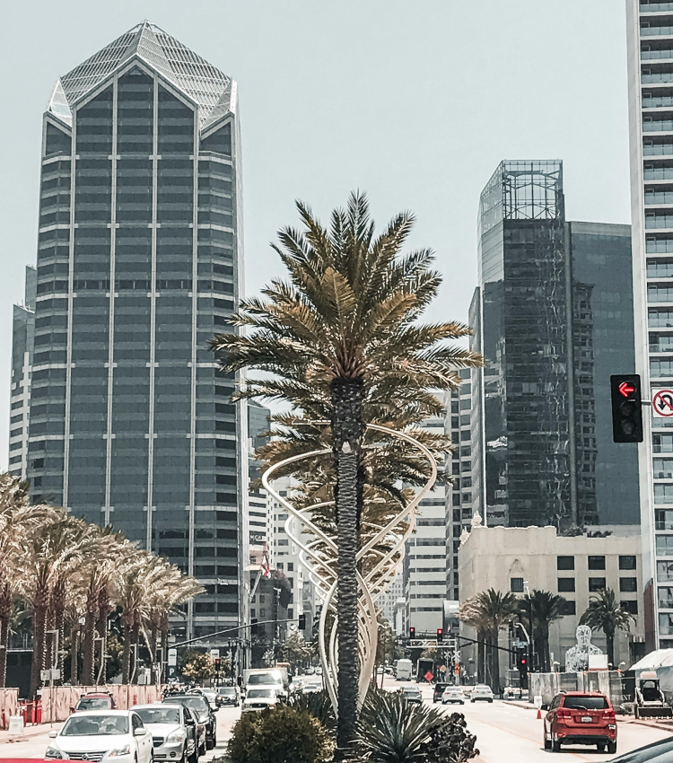 City